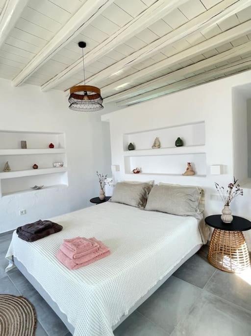Dream 1 ολόκληρος χώρος με πισίνα Parikia (Paros)