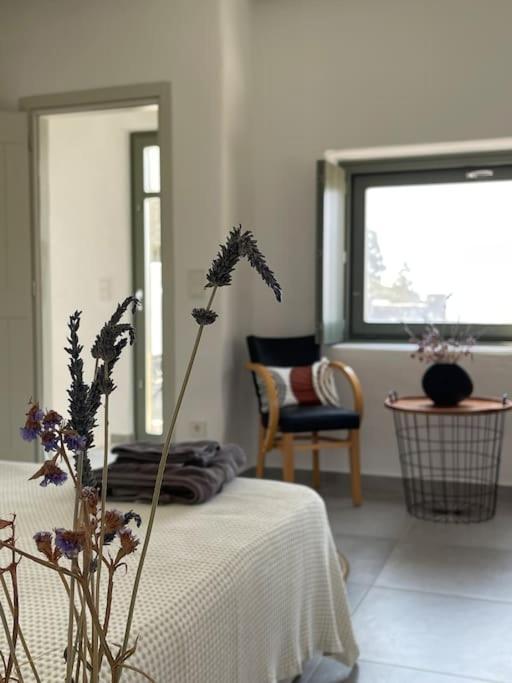 Dream 1 ολόκληρος χώρος με πισίνα Villa