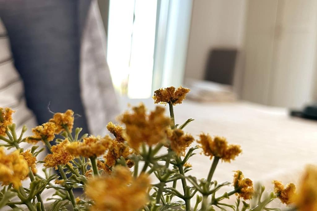Dream 1 ολόκληρος χώρος με πισίνα Parikia (Paros)