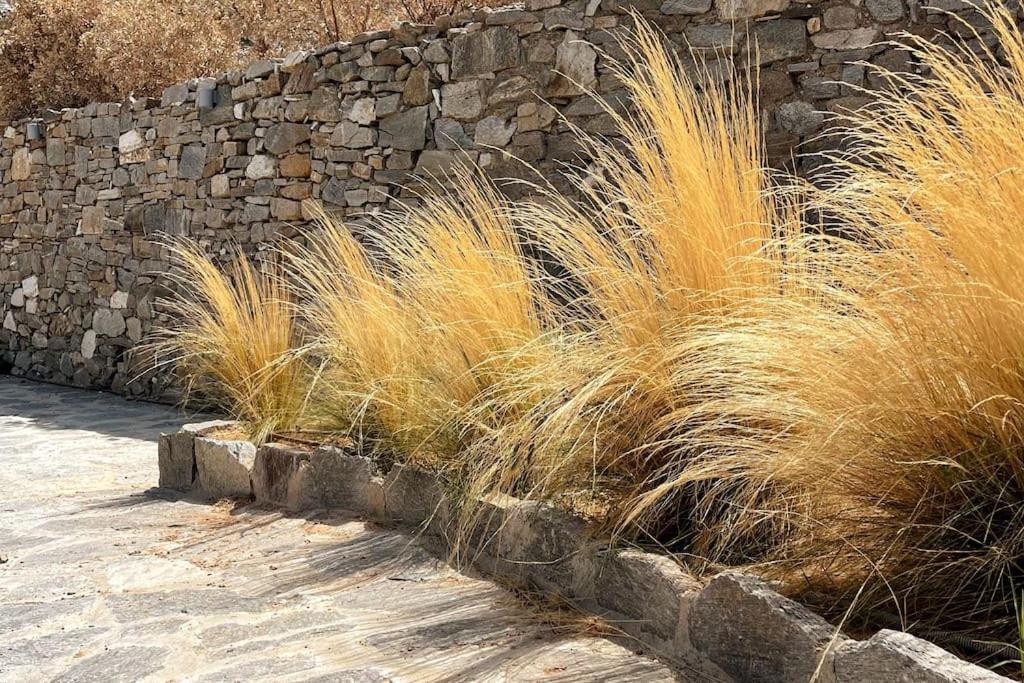 Dream 1 ολόκληρος χώρος με πισίνα * Parikia (Paros)