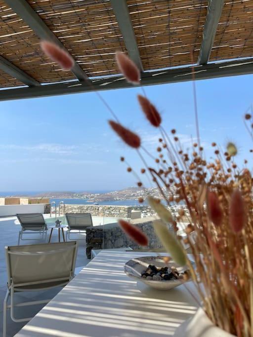 Dream 1 ολόκληρος χώρος με πισίνα