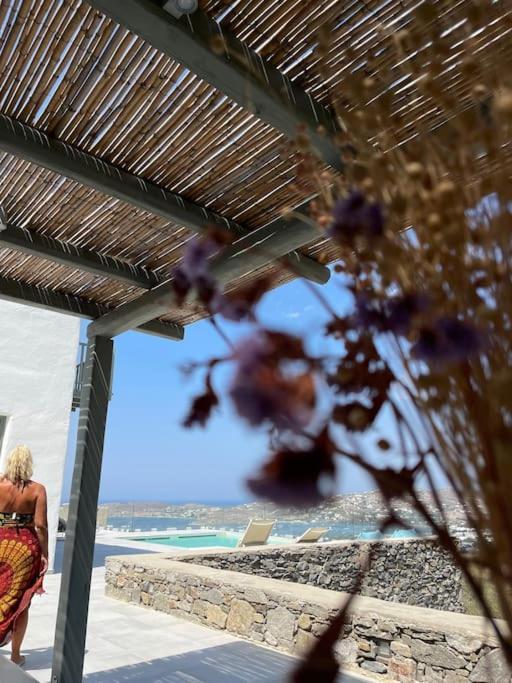 Villa Dream 1 ολόκληρος χώρος με πισίνα *