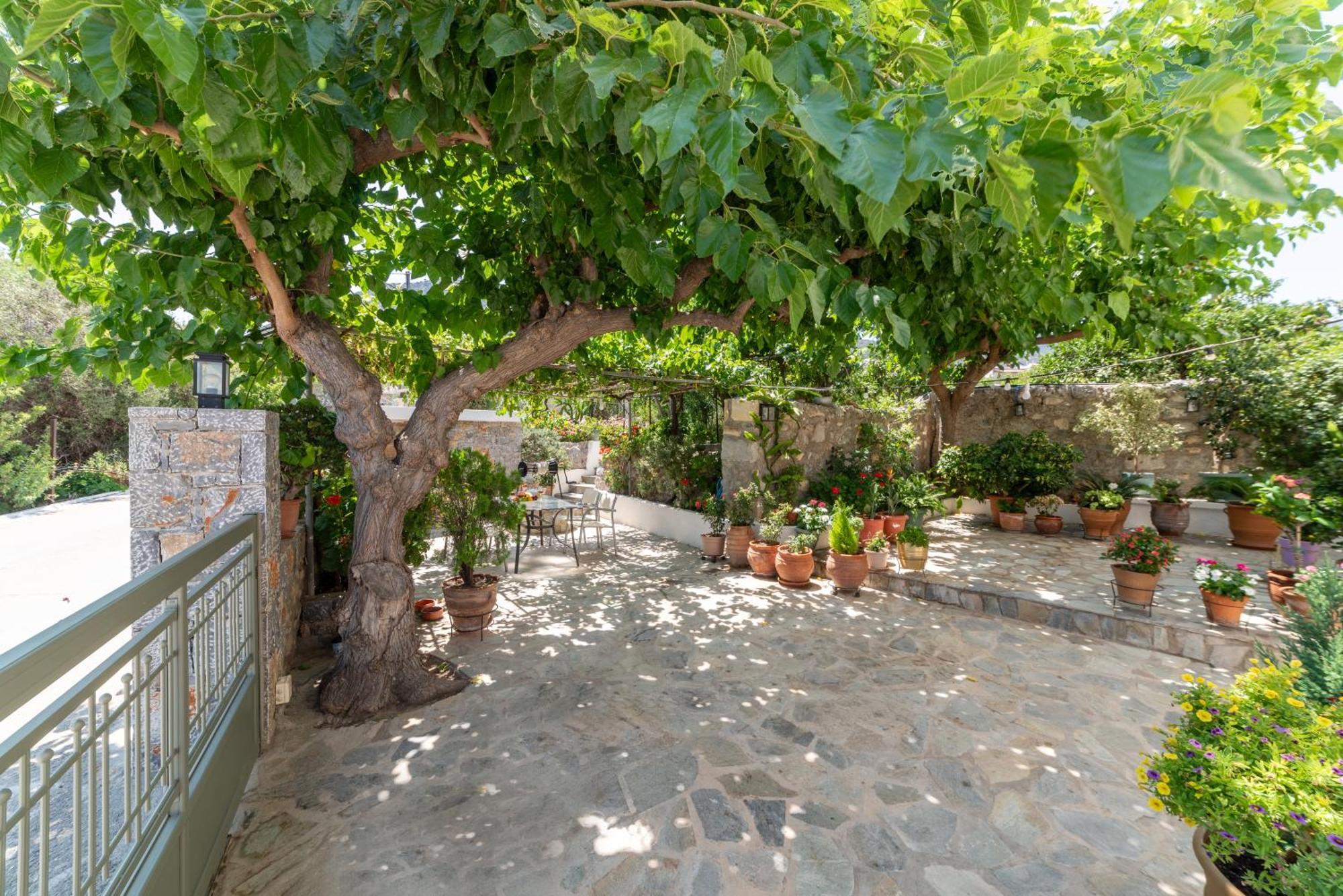 Holiday home Kounenos House Istro