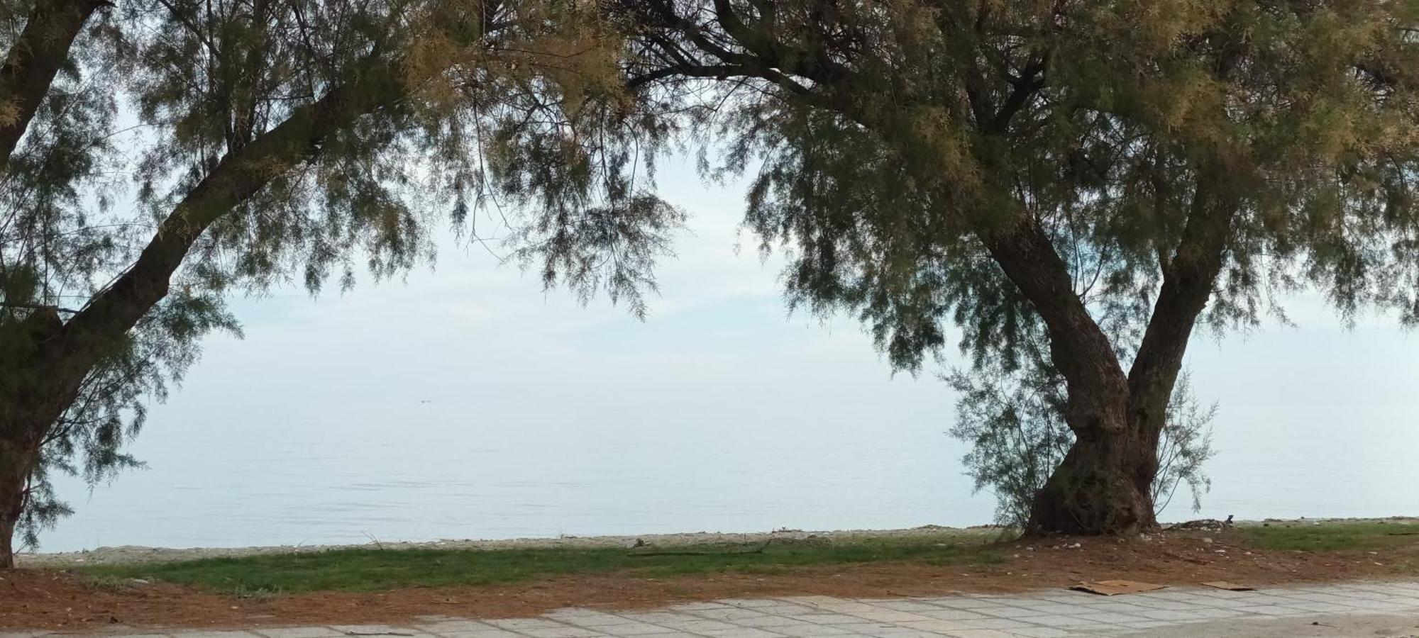 Mana Mia Seaside * Leptokarya (Pieria)