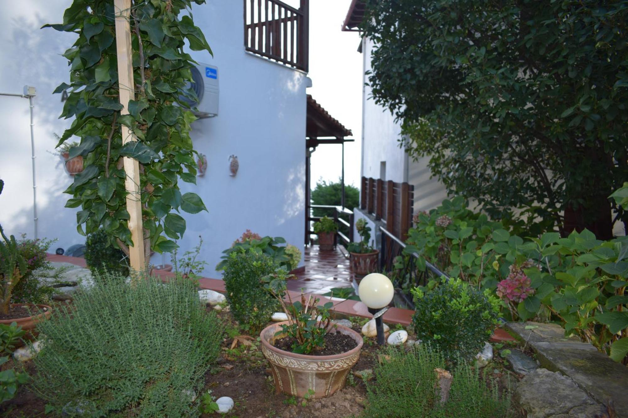 Alisaxni Seaside Agios Ioannis (Thessaly)