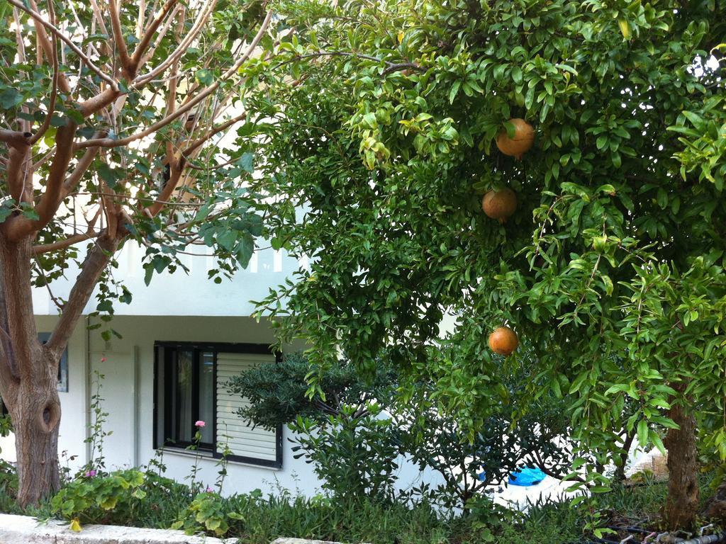 Emilia Aparthotel 2*