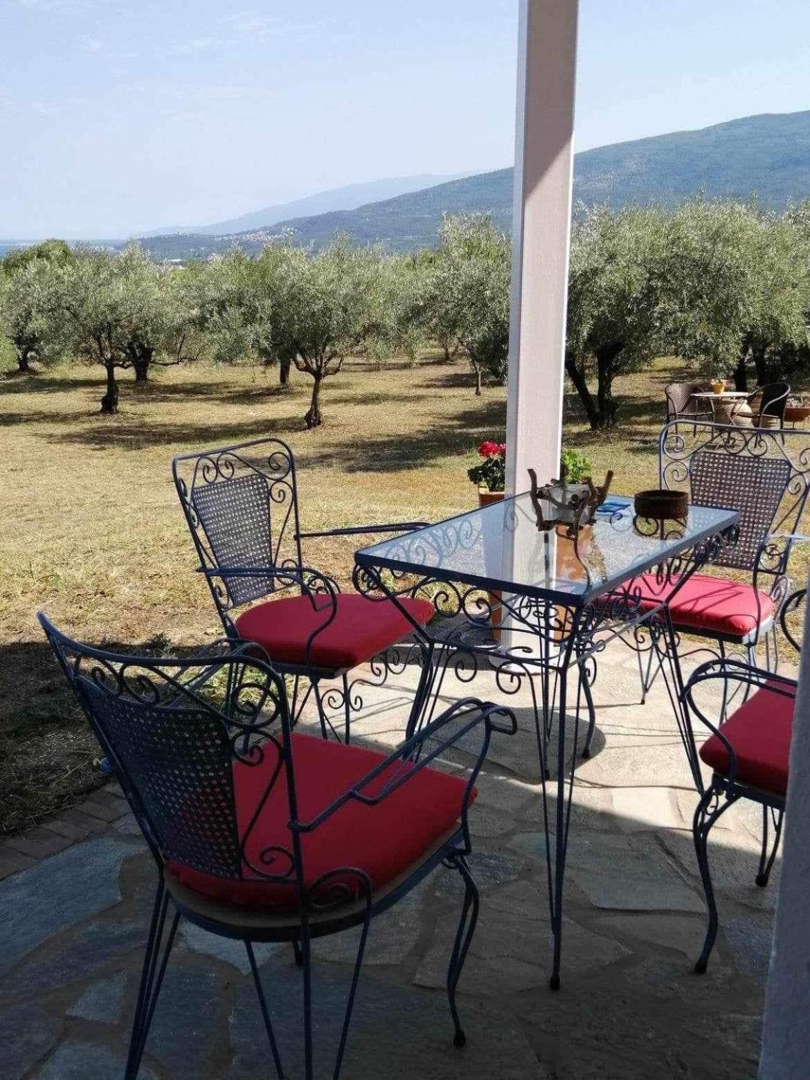 Zeusplace Olympus Olive 1 Leptokarya (Pieria)