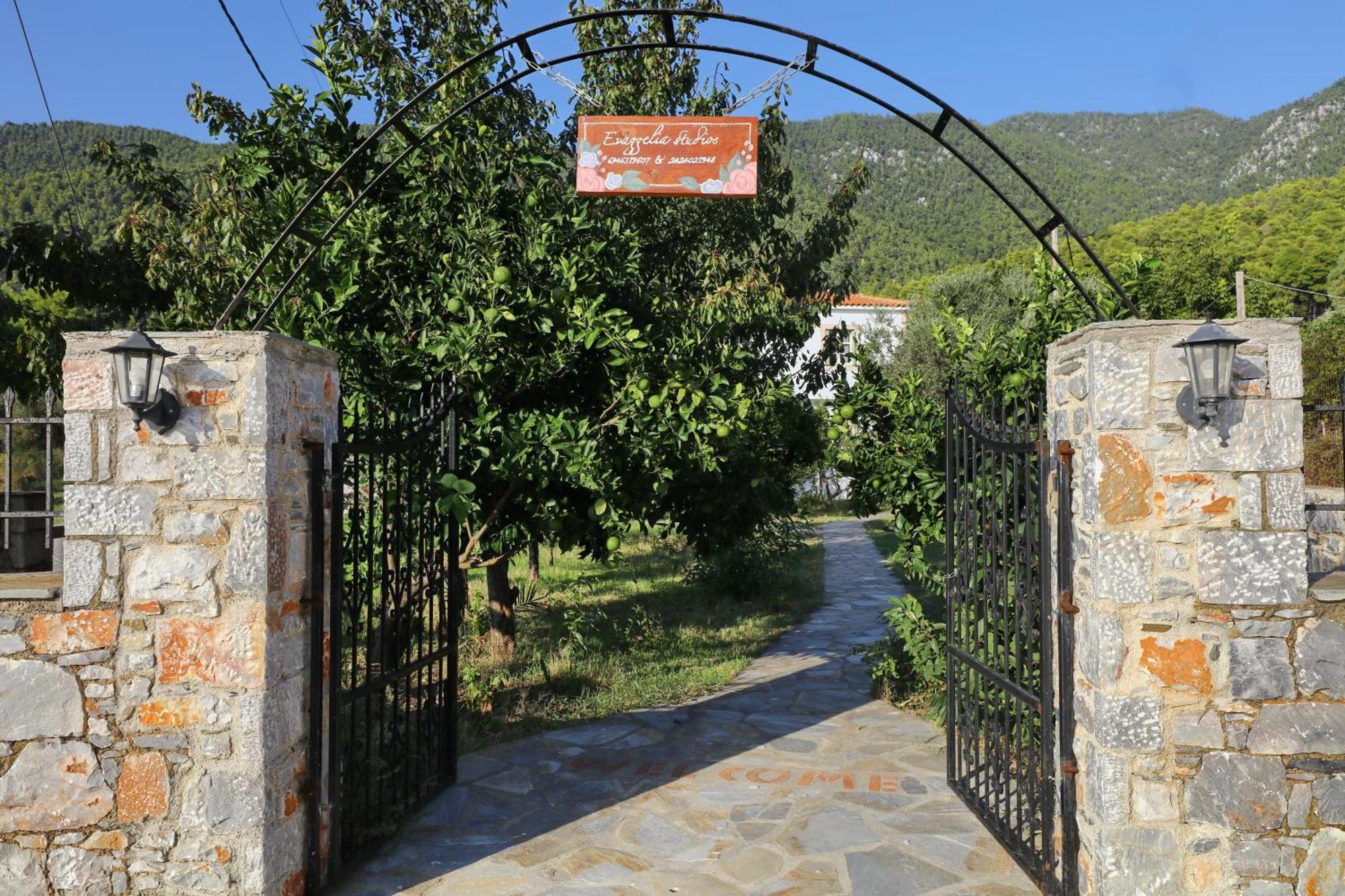 Evaggelia *