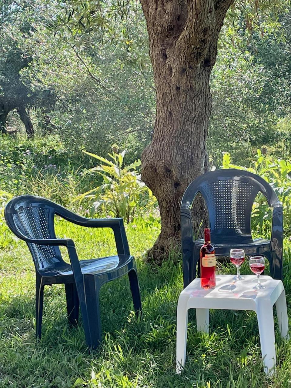 Holiday home Kassopia Serenity Place Lefkimmi (Corfu)