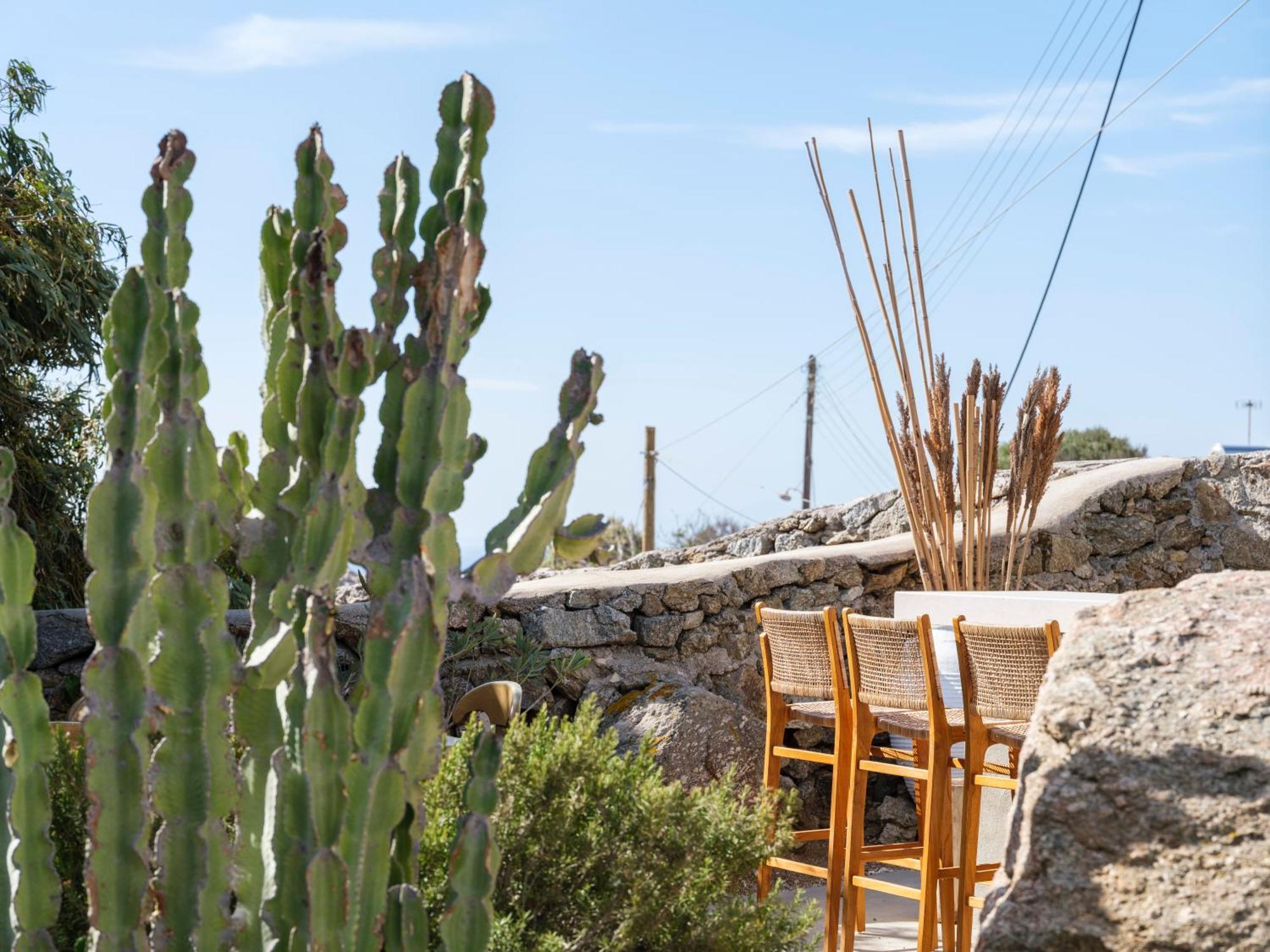 Pure Mykonos * Plintri