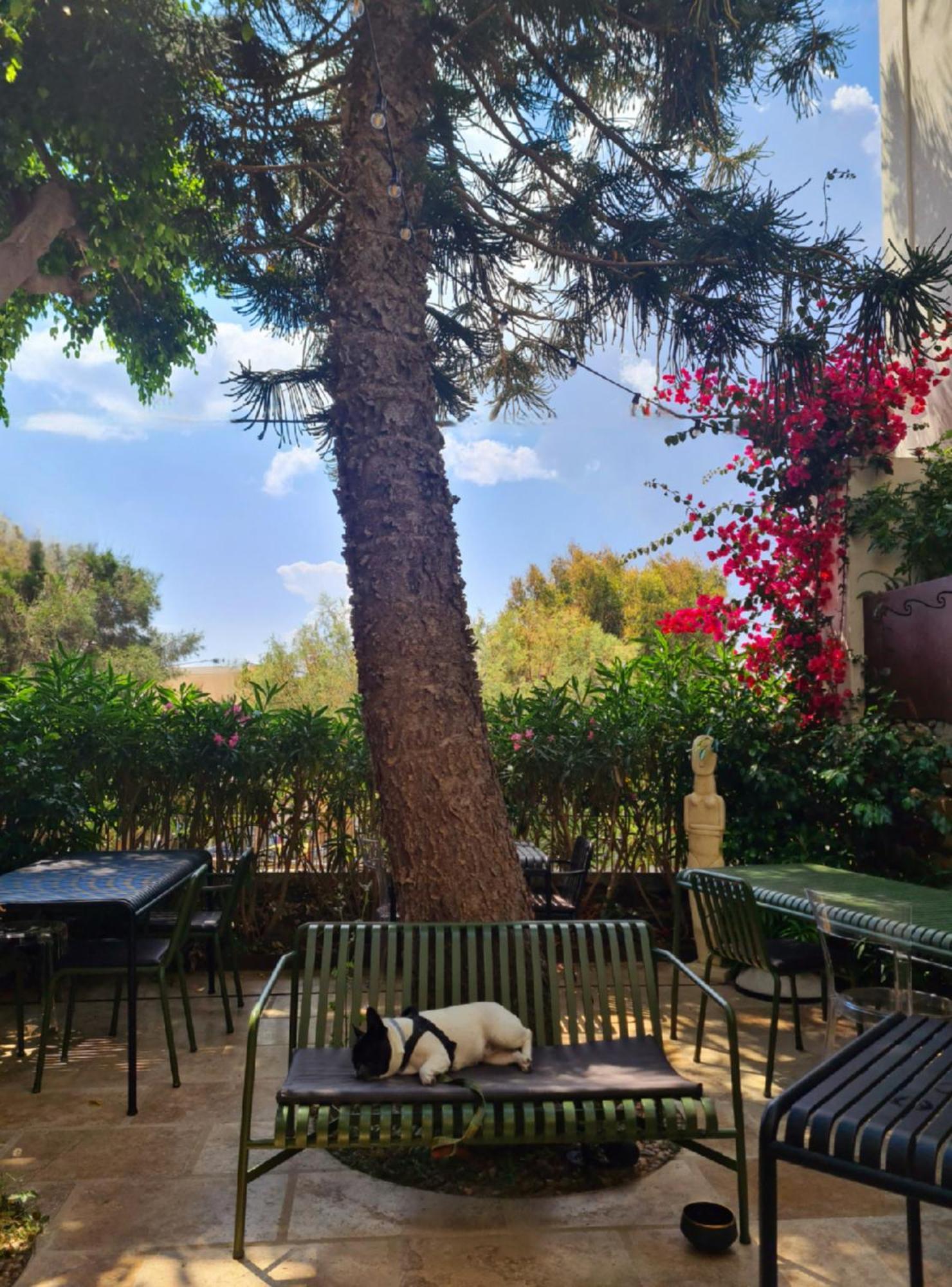 Aristide - Small Luxury Of The World 5* Ermoupoli