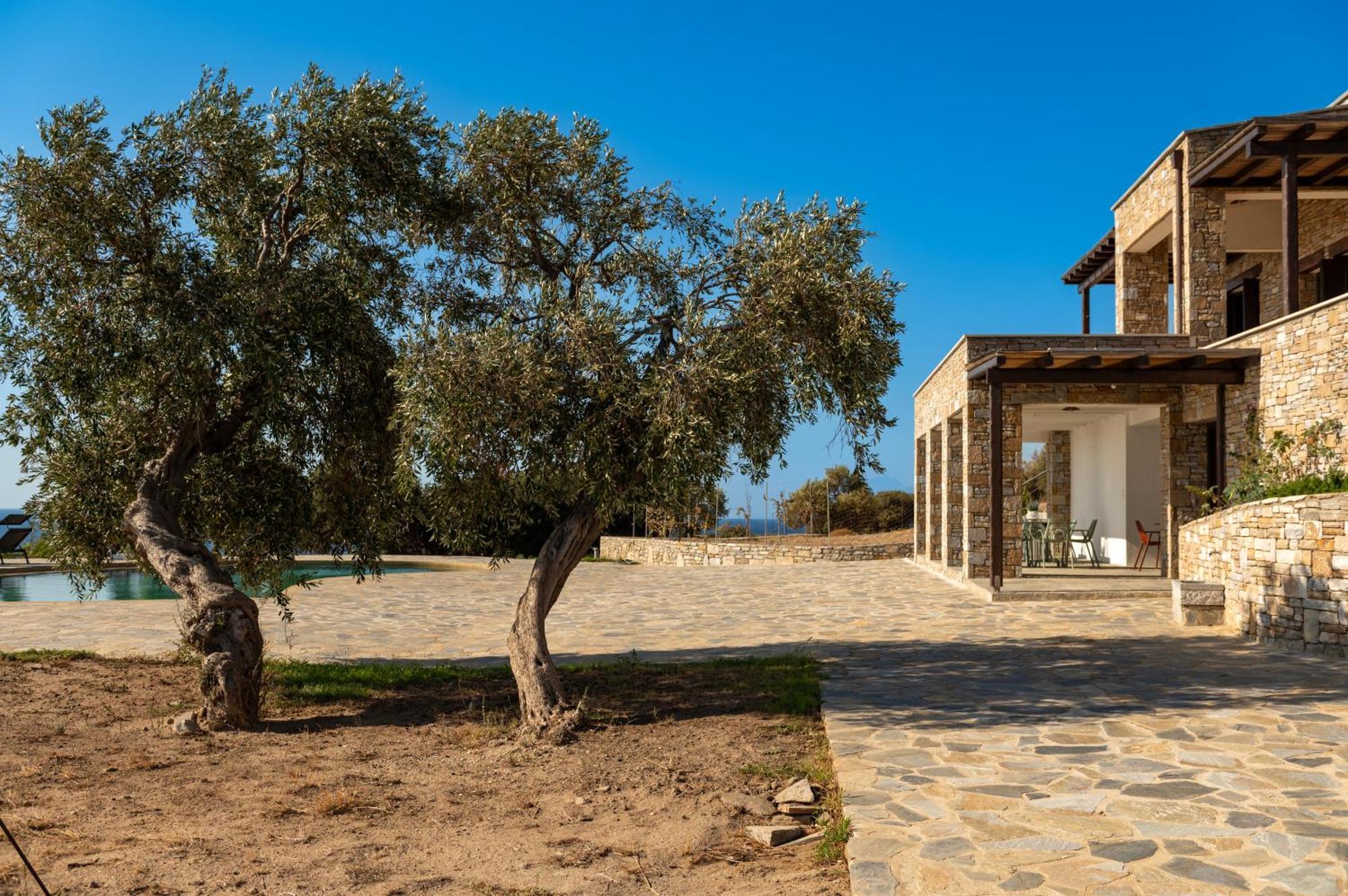 Apartment Borgo Thassos *