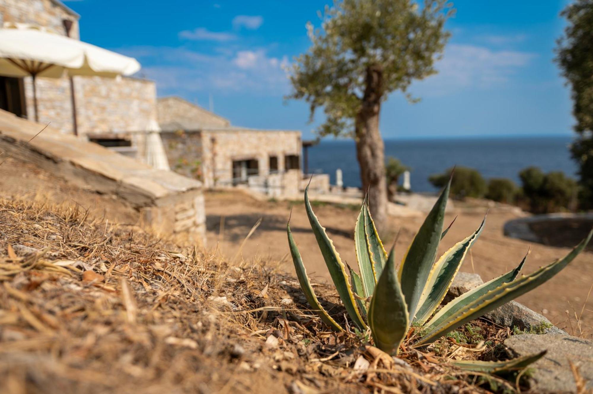 Borgo Thassos * Astris