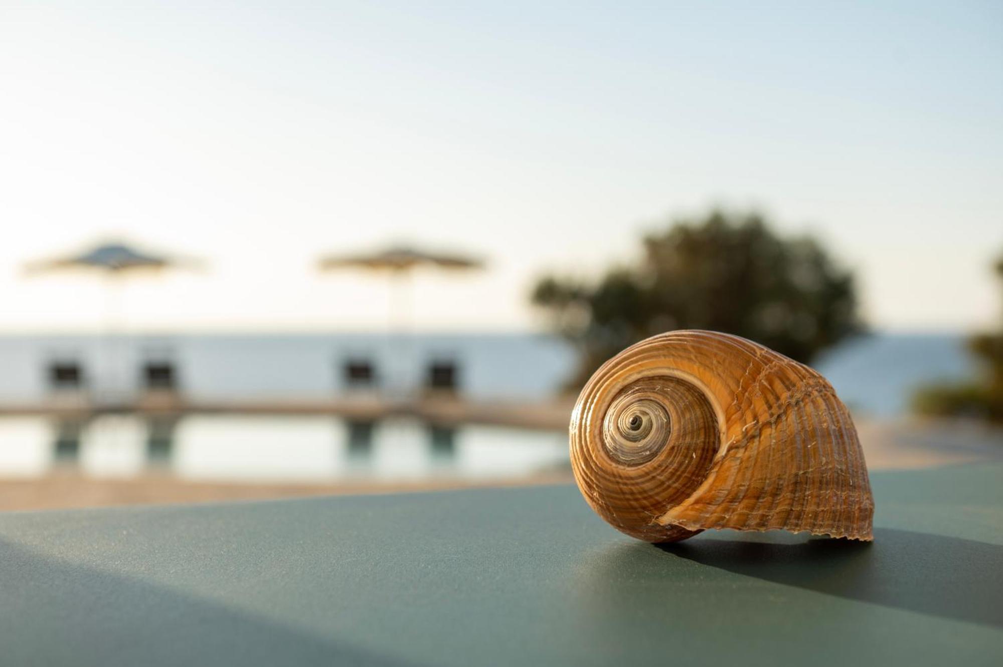 Borgo Thassos * Astris
