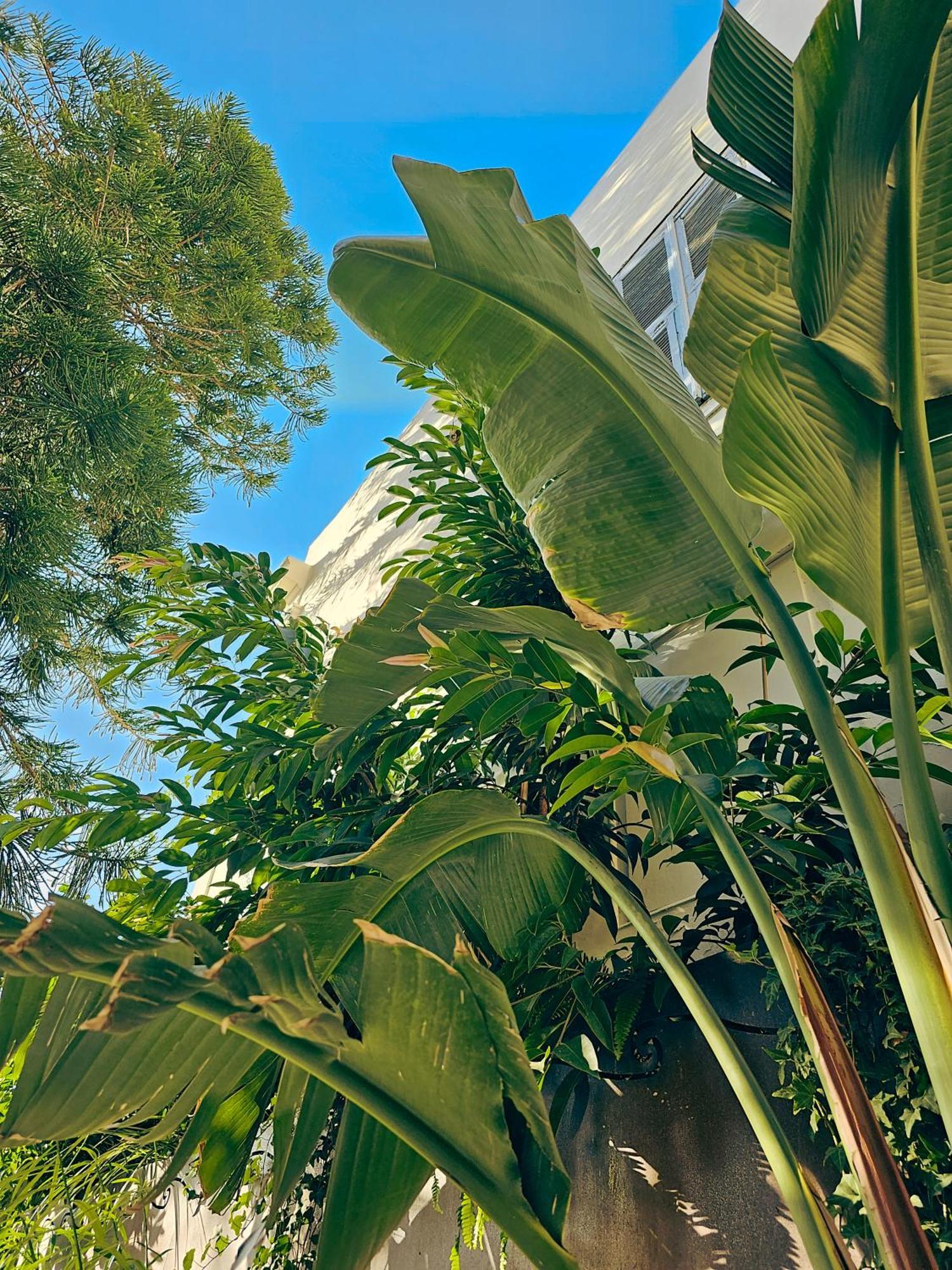 Aristide - Small Luxury Of The World Hotel Ermoupoli