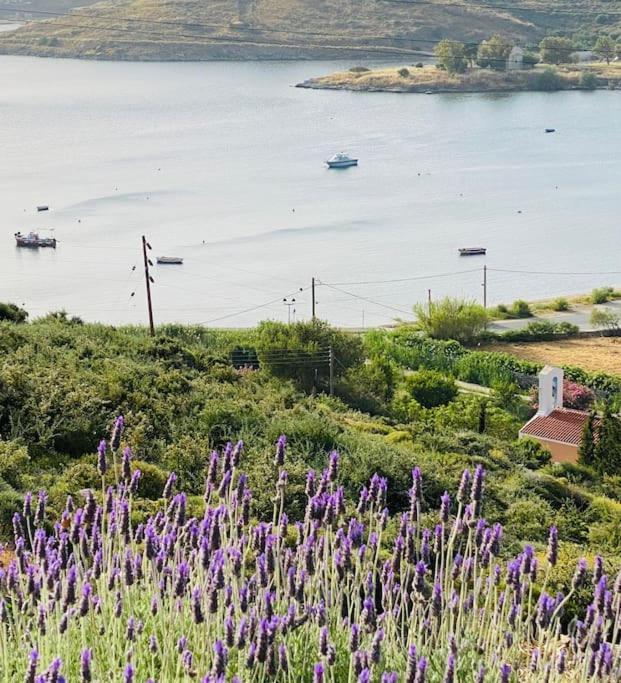 Faros Kea With Private Pool And Stunning Views Vourkari