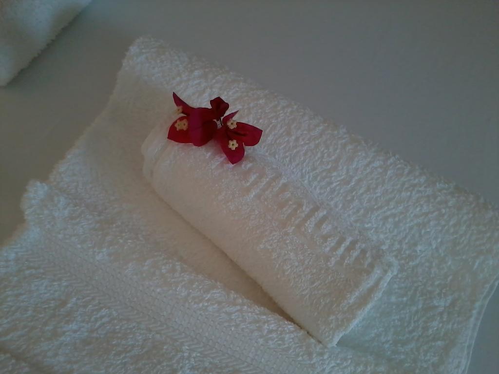 Aparthotel Fotini Mytikas (Epirus)