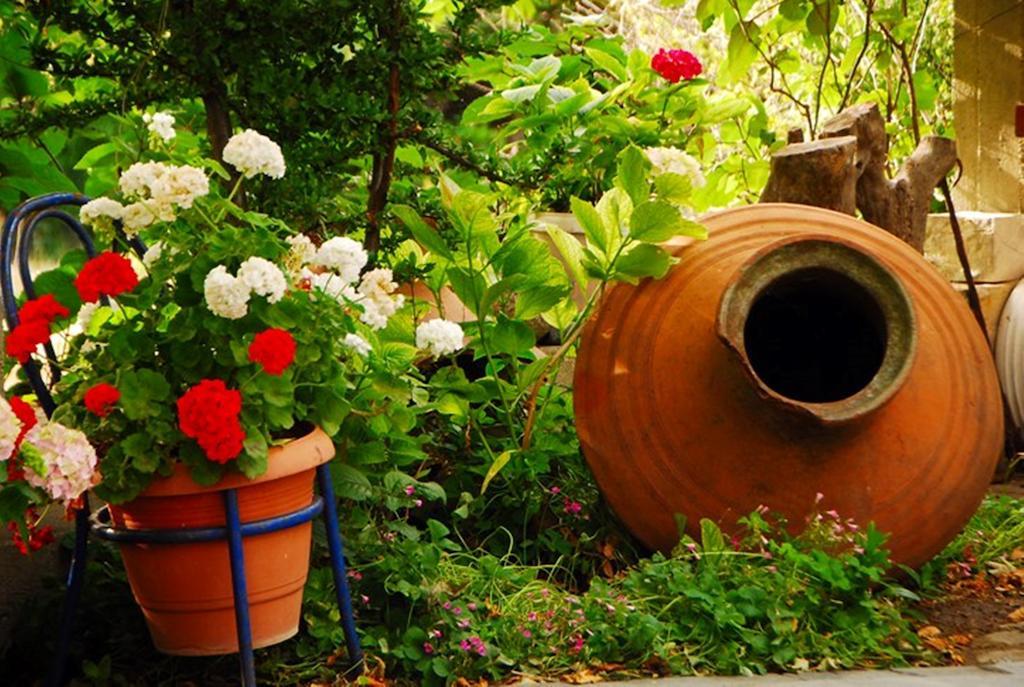 Atzanou Guest house *