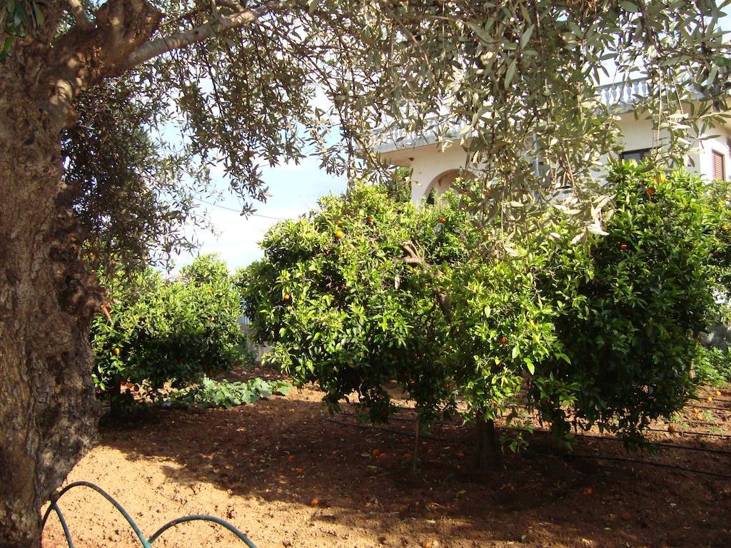 George's Chrani