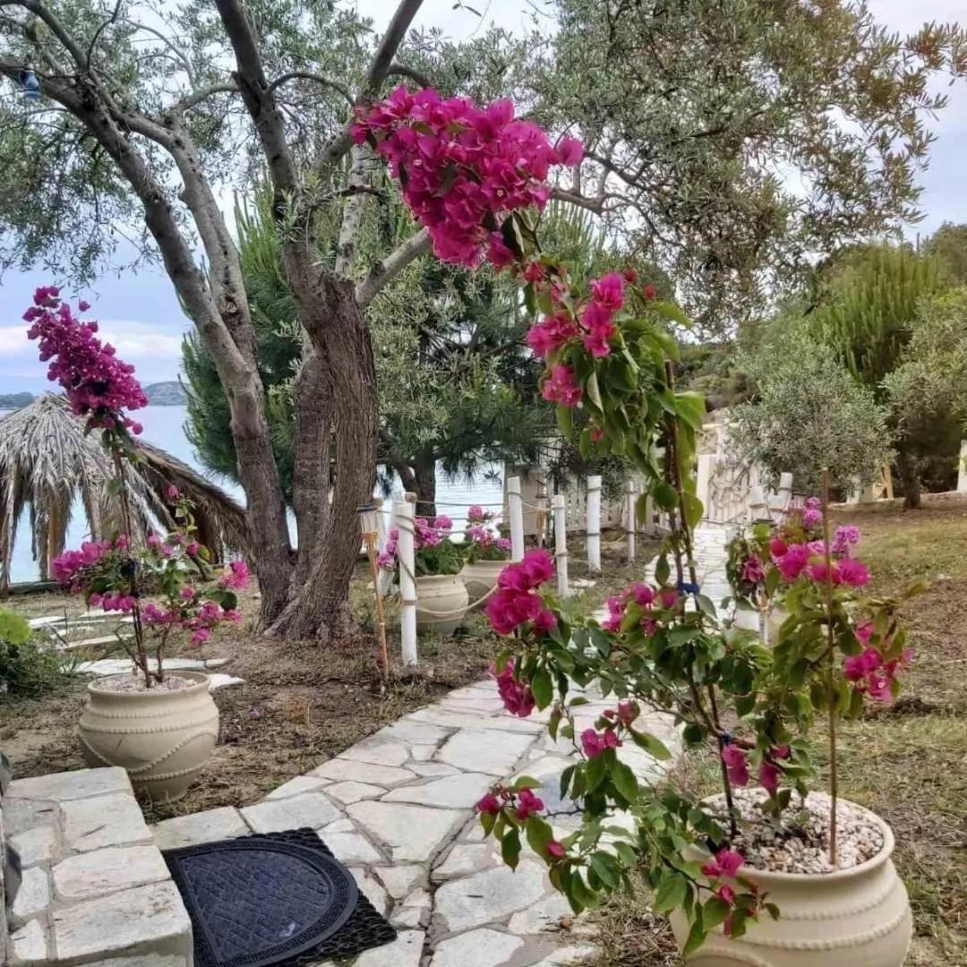 Country house House Onar Diaporos