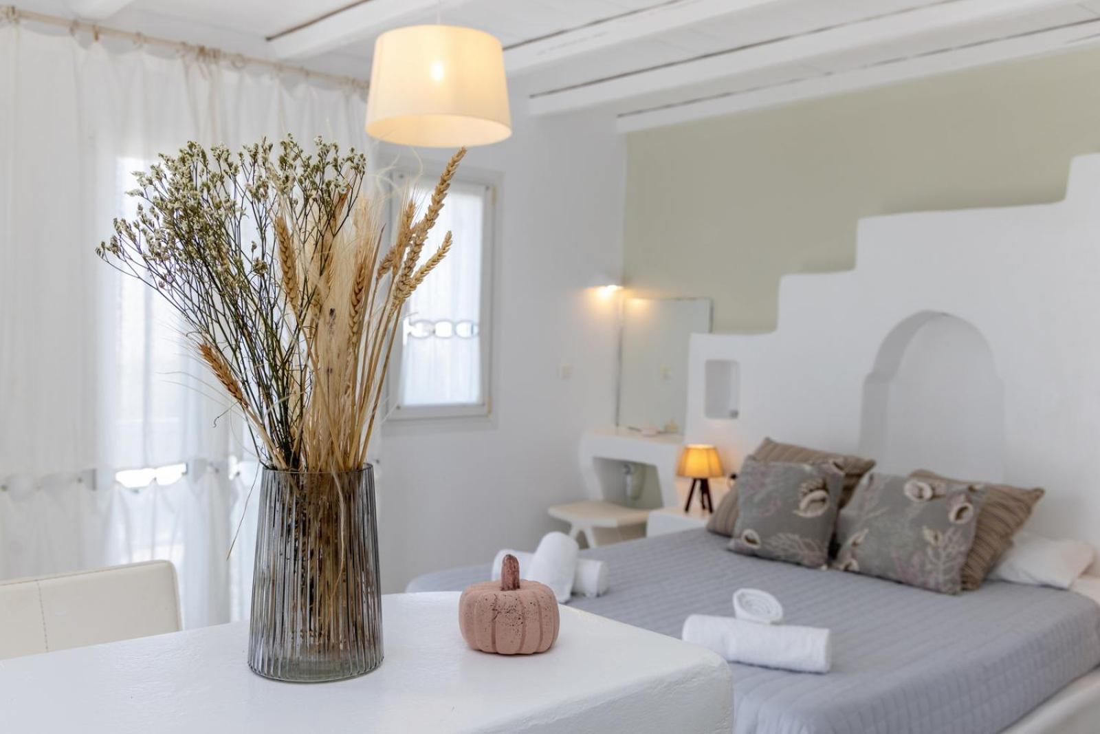 Soulmate's Tinos Apartment Kionia