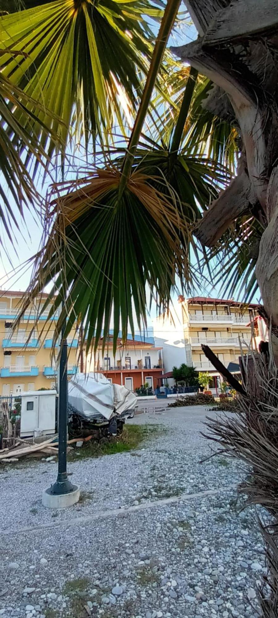 Mana Mia Seaside Leptokarya (Pieria)