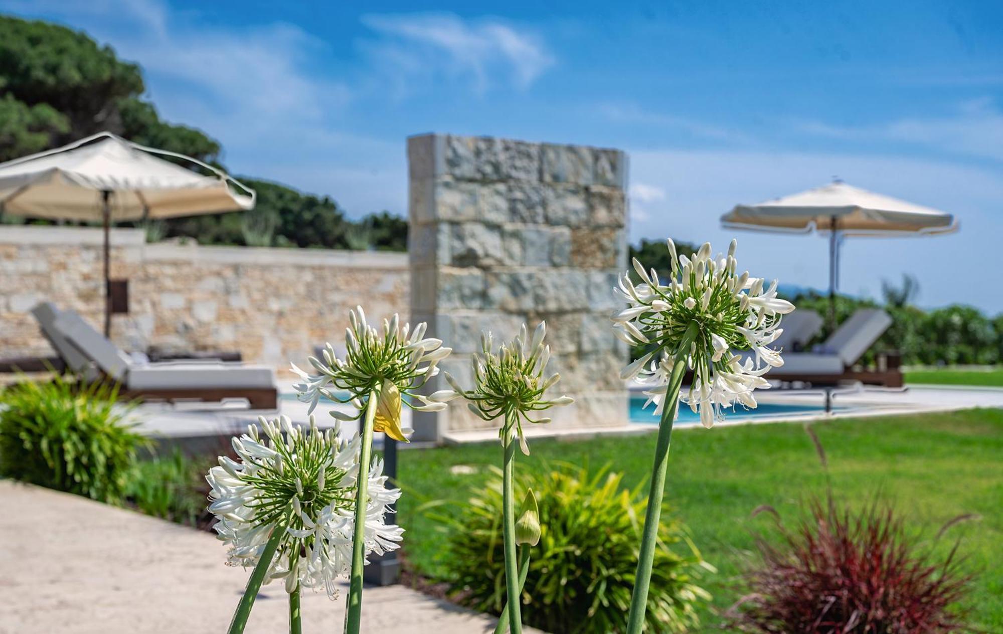 Villa Theluxuryvillas *