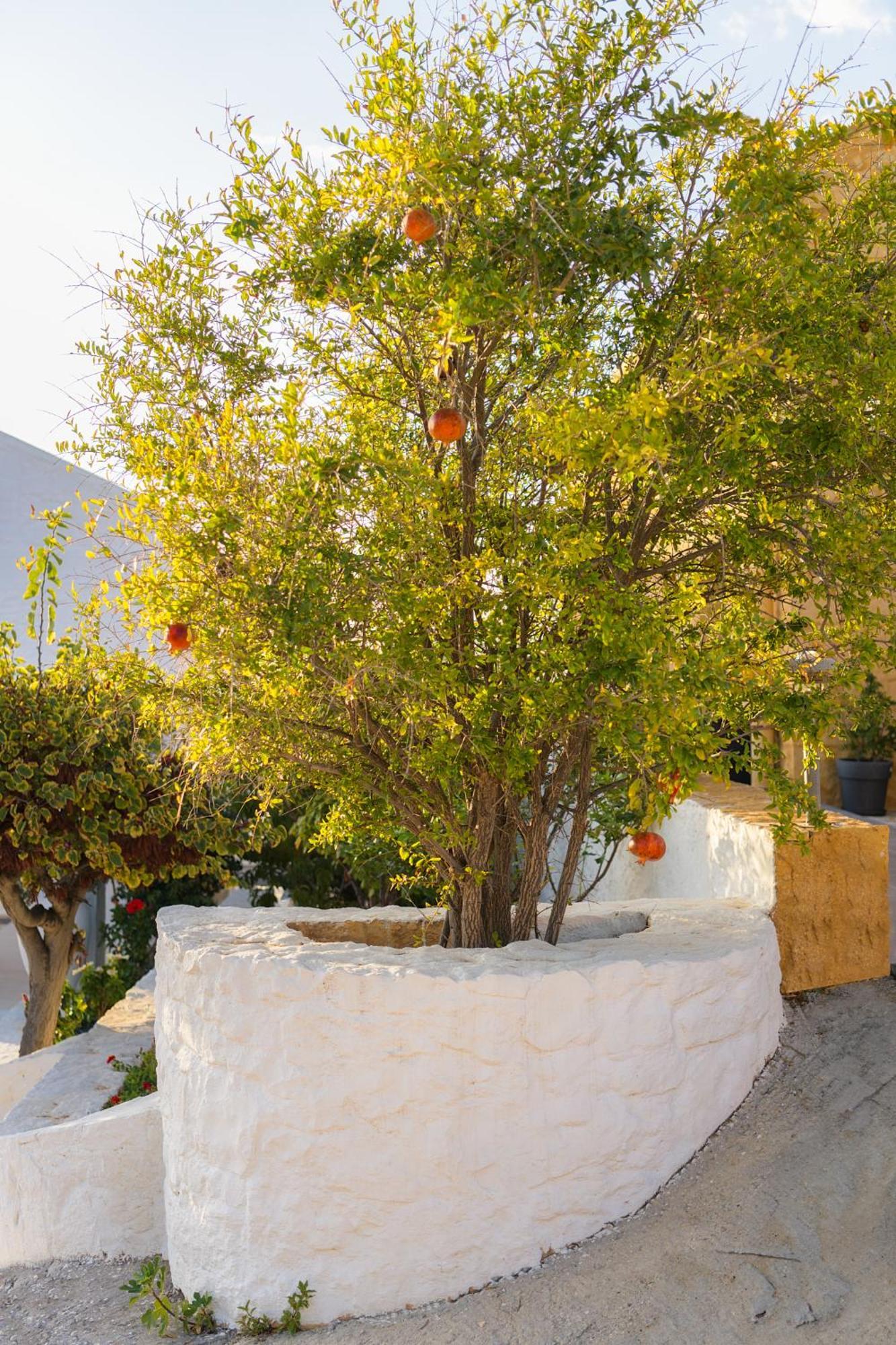 Villa Anton By Cura Collection Kalathas