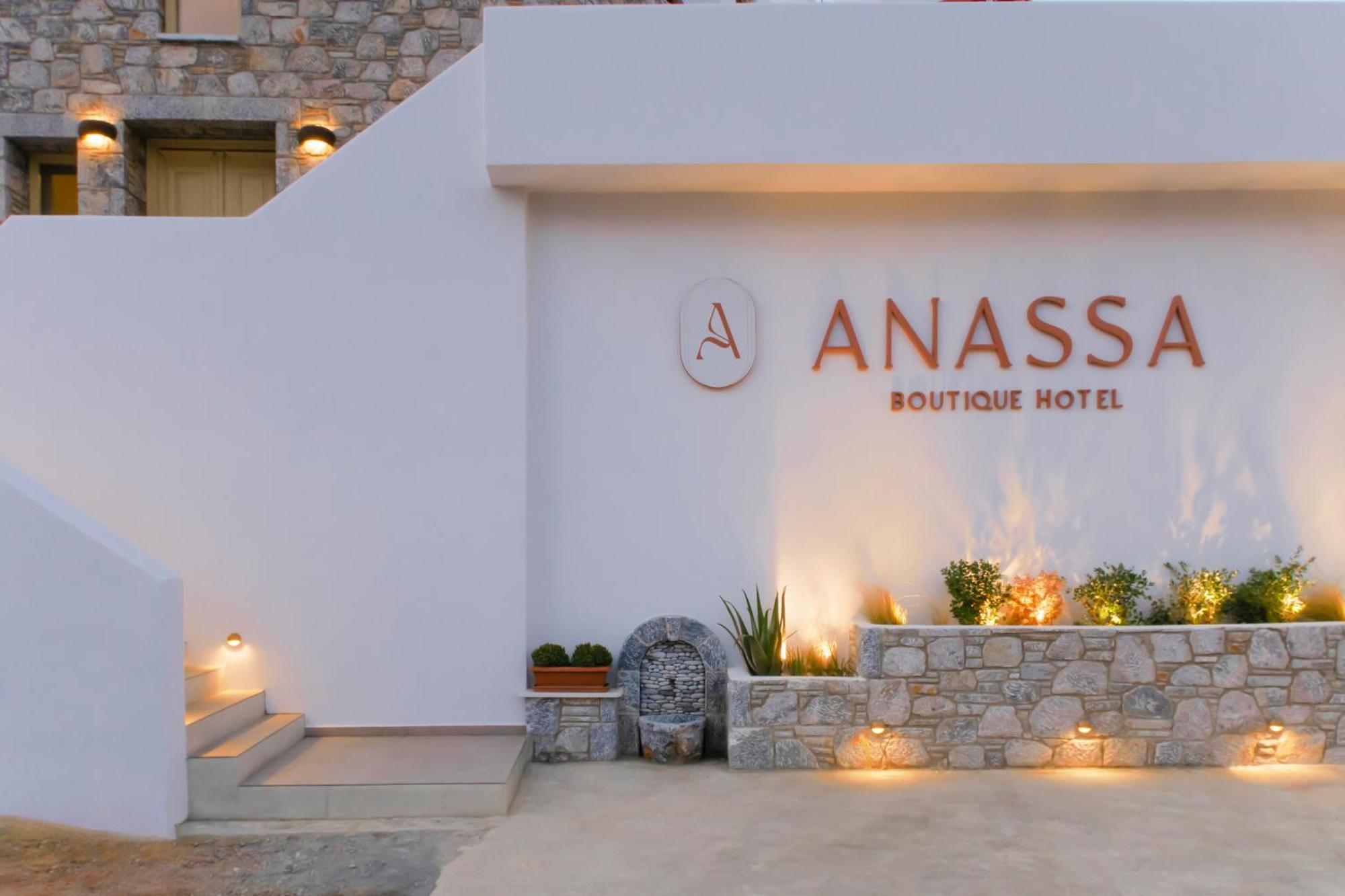 Hotel Anassa Boutique 3*