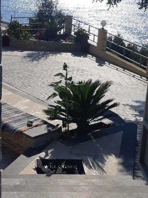Panos Renos Studio, A Cozy By The Beach!