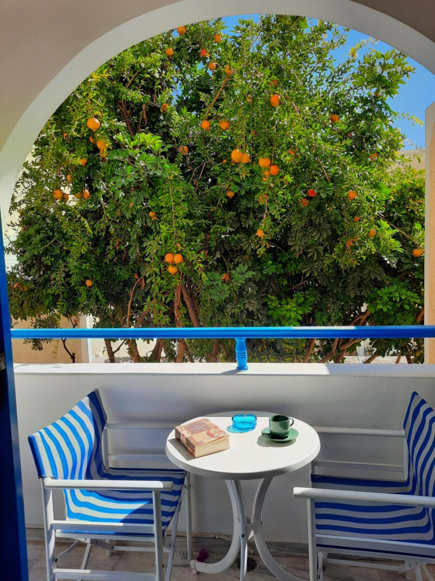 Zeus Kamari (Santorini)