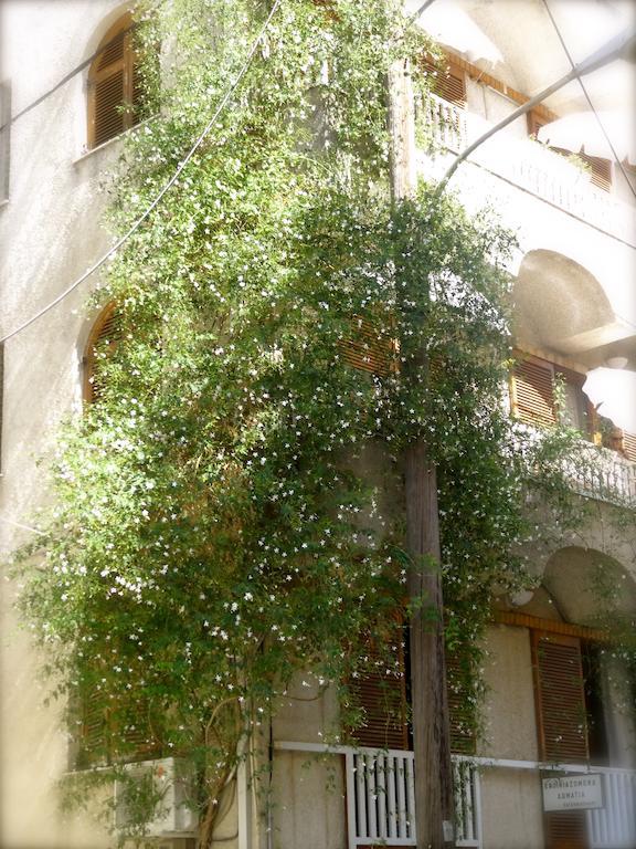 Eleni's Guest house Loutra Edipsou (Evia)