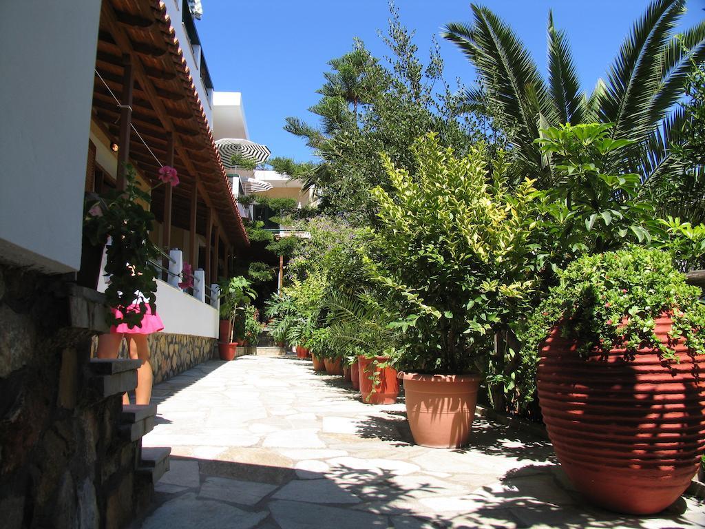 Aparthotel Gioula's Patitiri (Alonnisos)