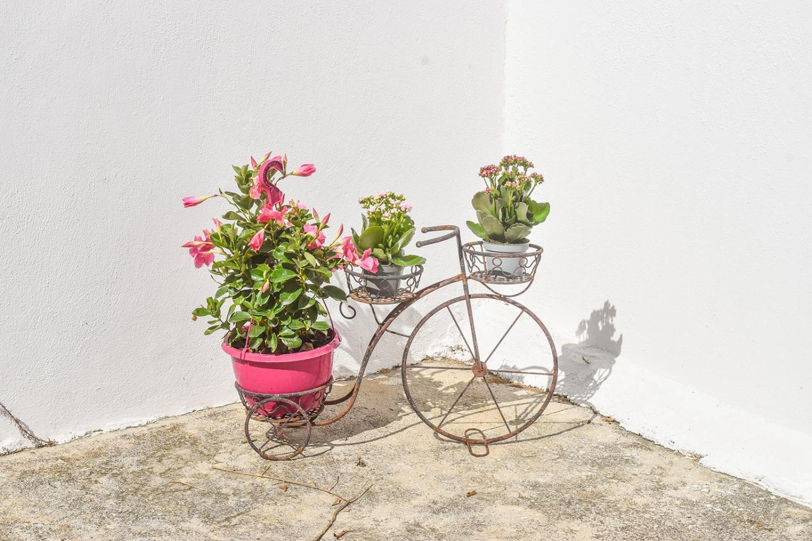 Ktima House * Skiathos Town