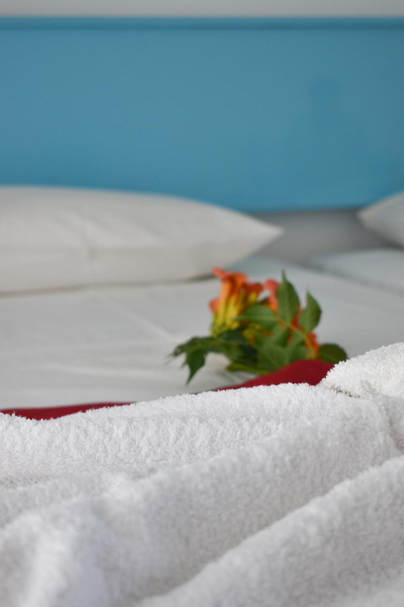 Oleander Studios Aparthotel Faliraki