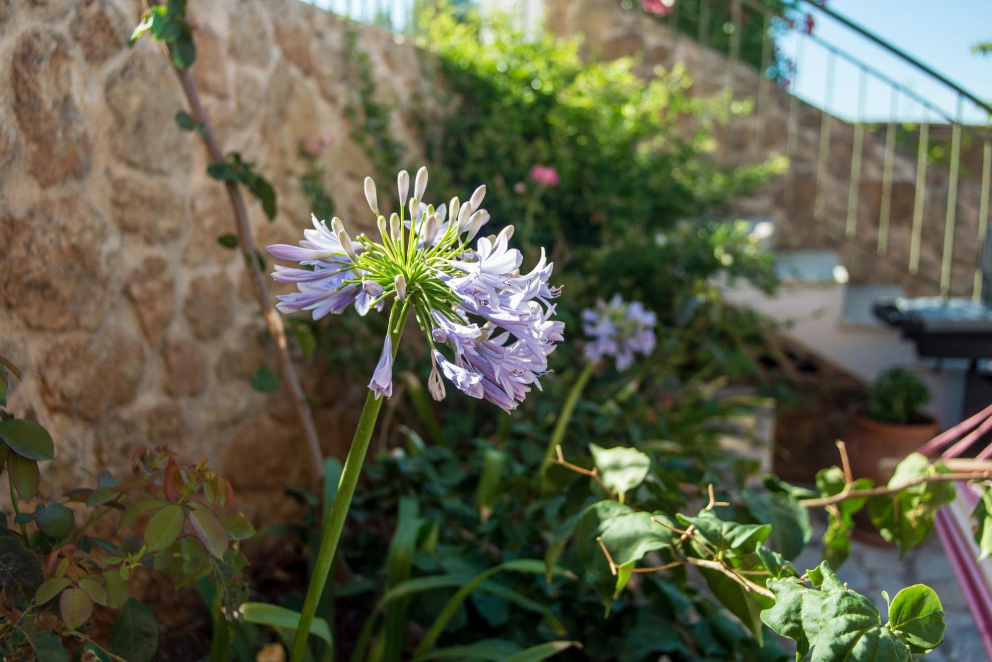 Eleftheria, - Spacious Luxury With Pool And Stunning Views Villa