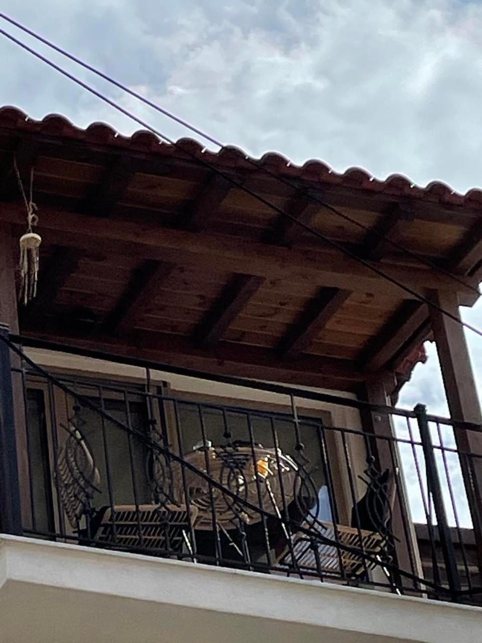 Aparthotel Eumorphia & Skiathos Town
