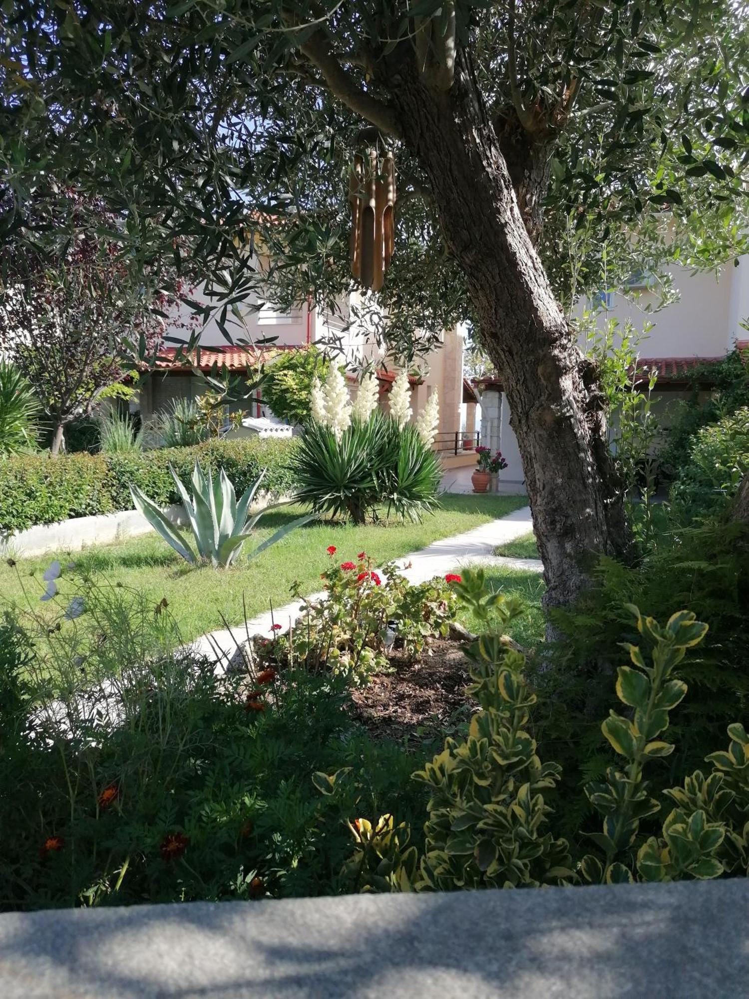 Albina's Luxury 3 Bedroom Holiday home *
