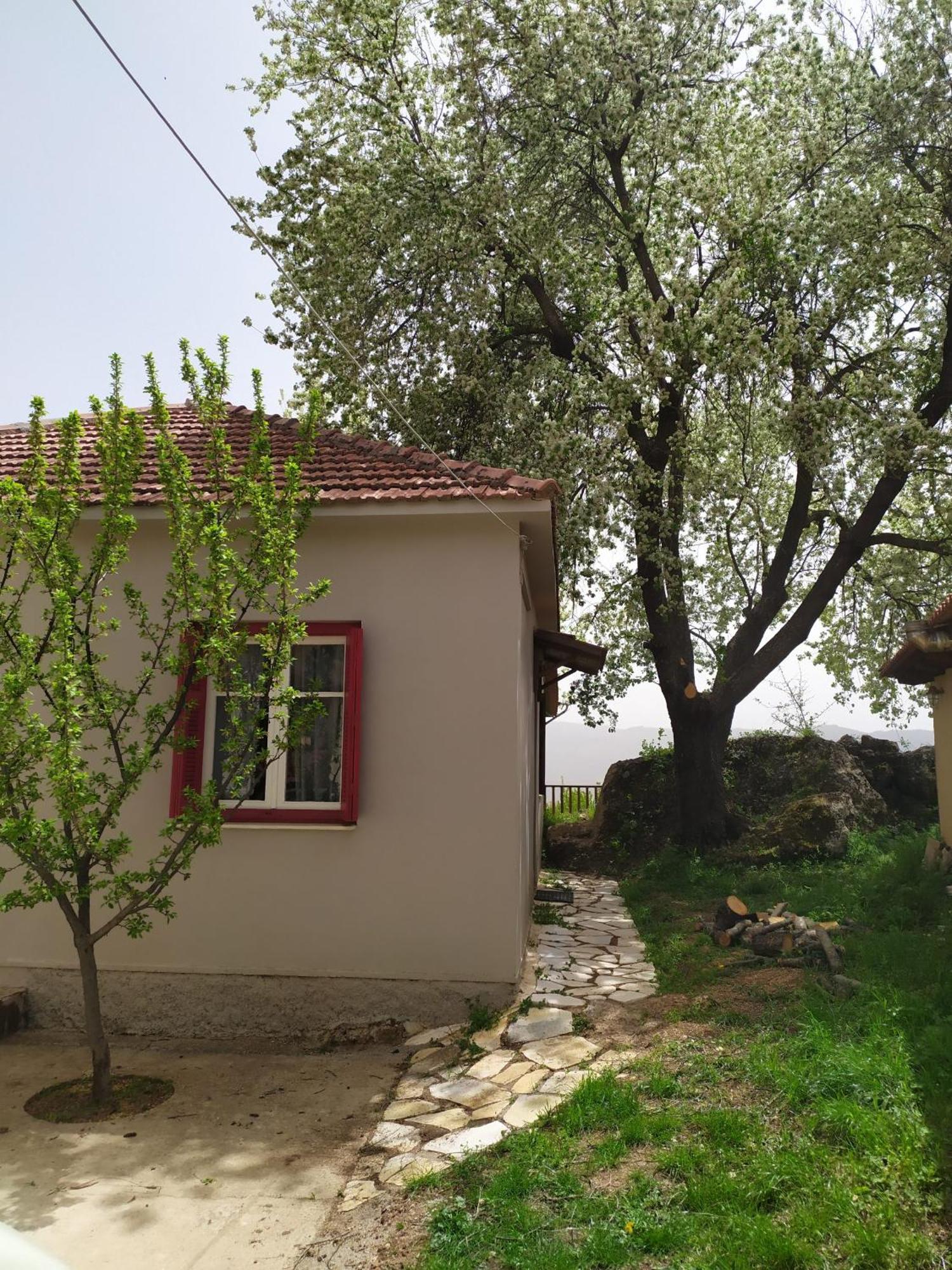 μικρή ζήρεια ενοικιαζόμενη *