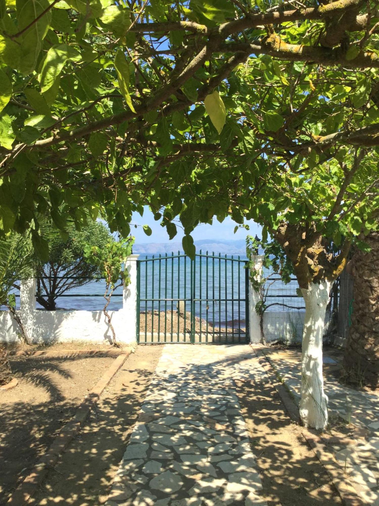 Aristidis * Lefkimmi (Corfu)