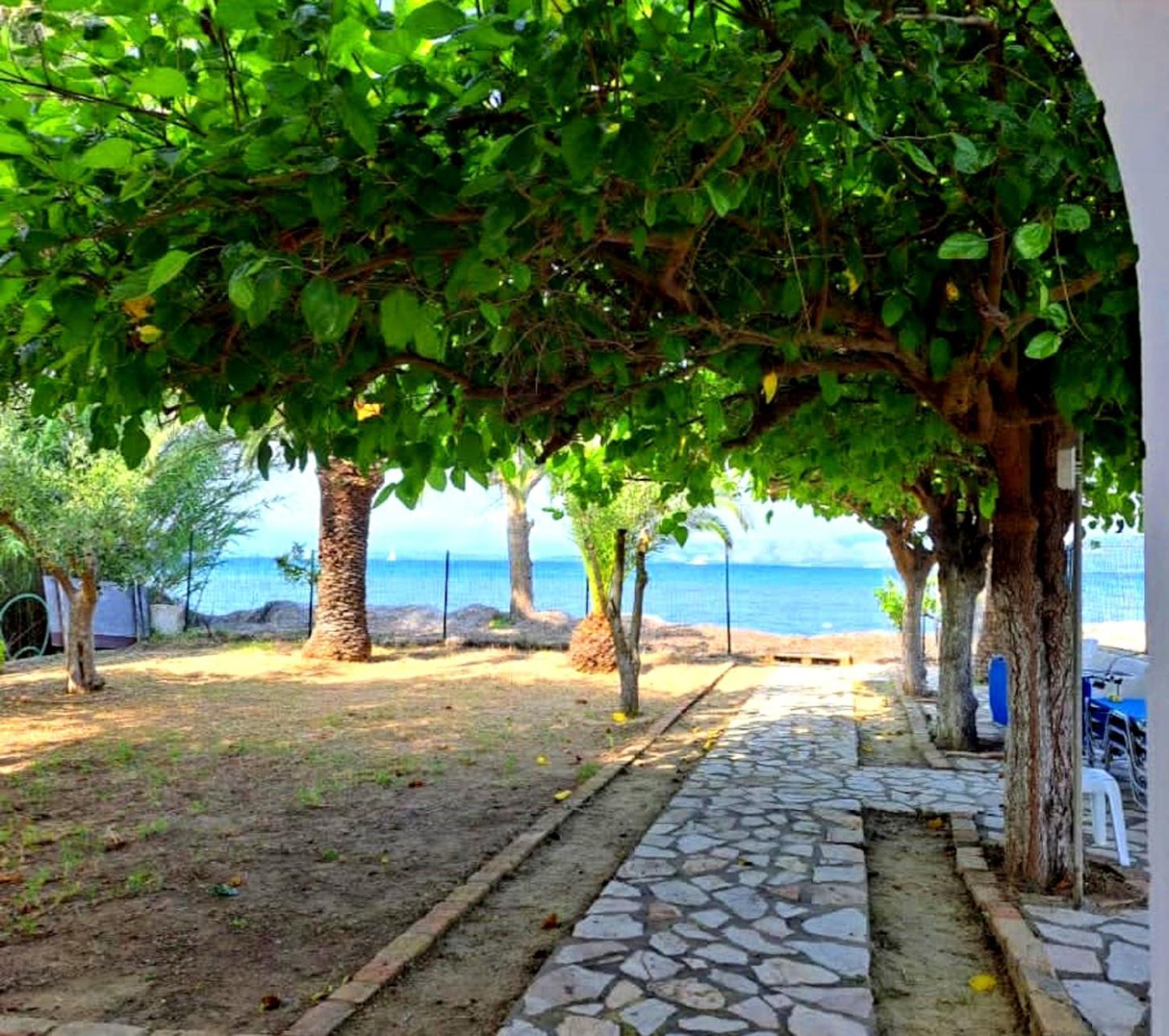 Aristidis * Lefkimmi (Corfu)