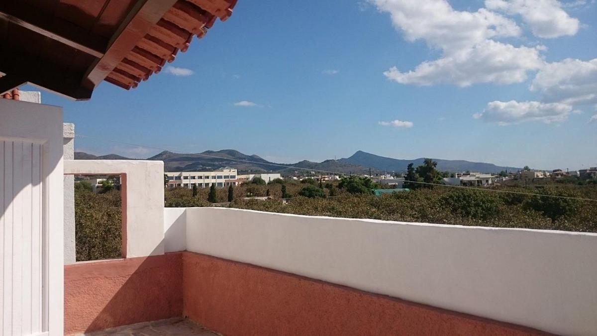 Miranta - & Aegina