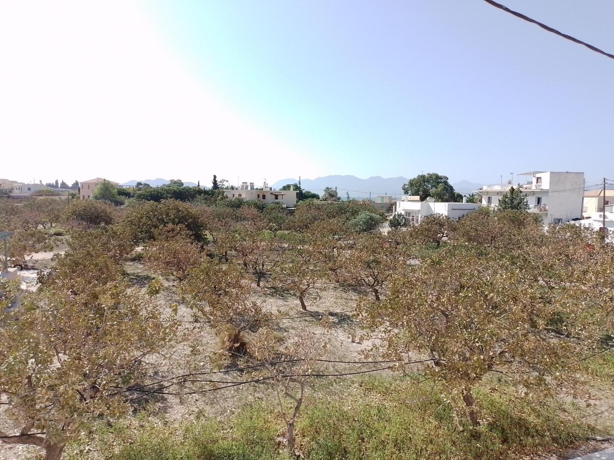 Miranta - & Hotel