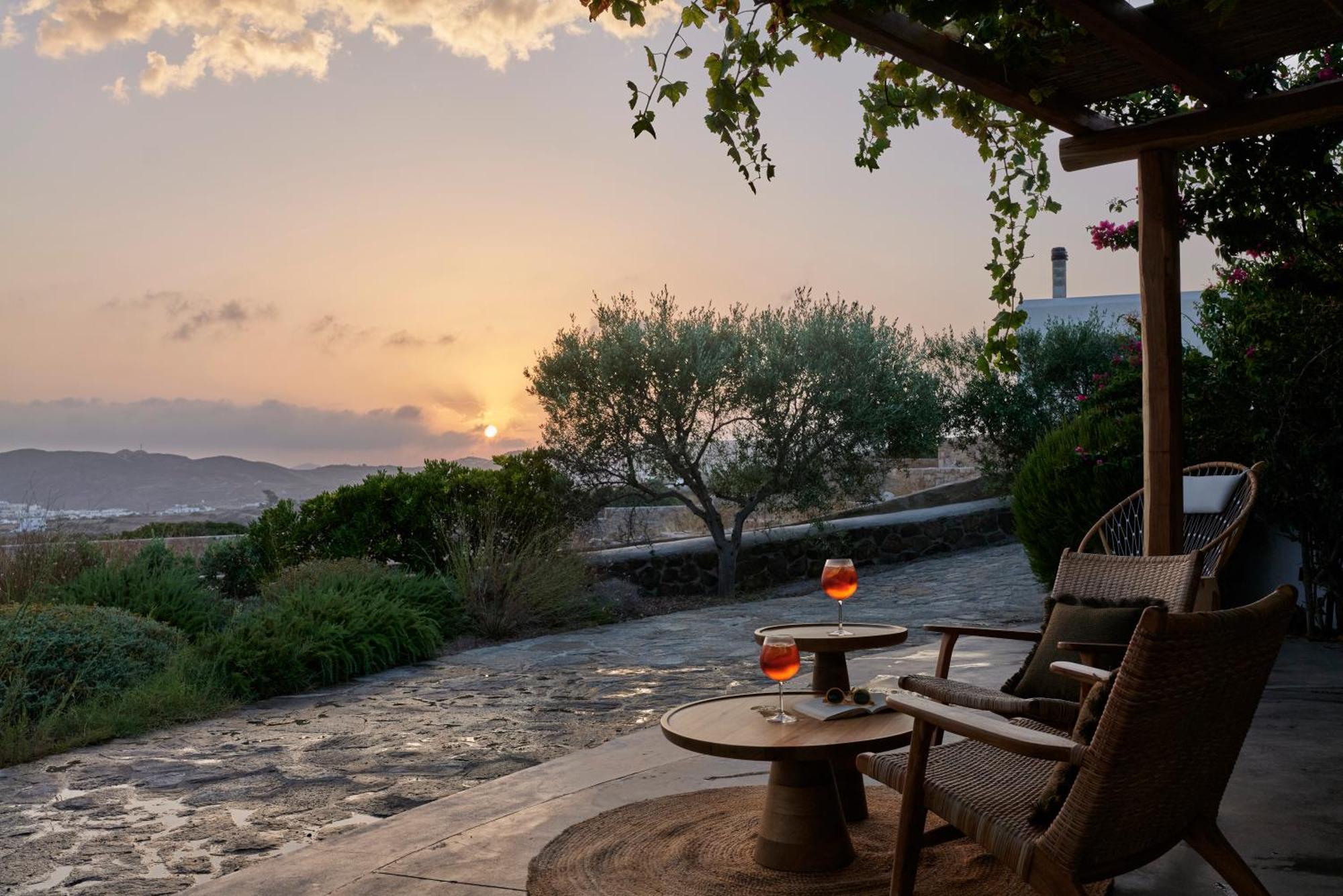 Iliana Olive Branch * Adamantas (Milos)