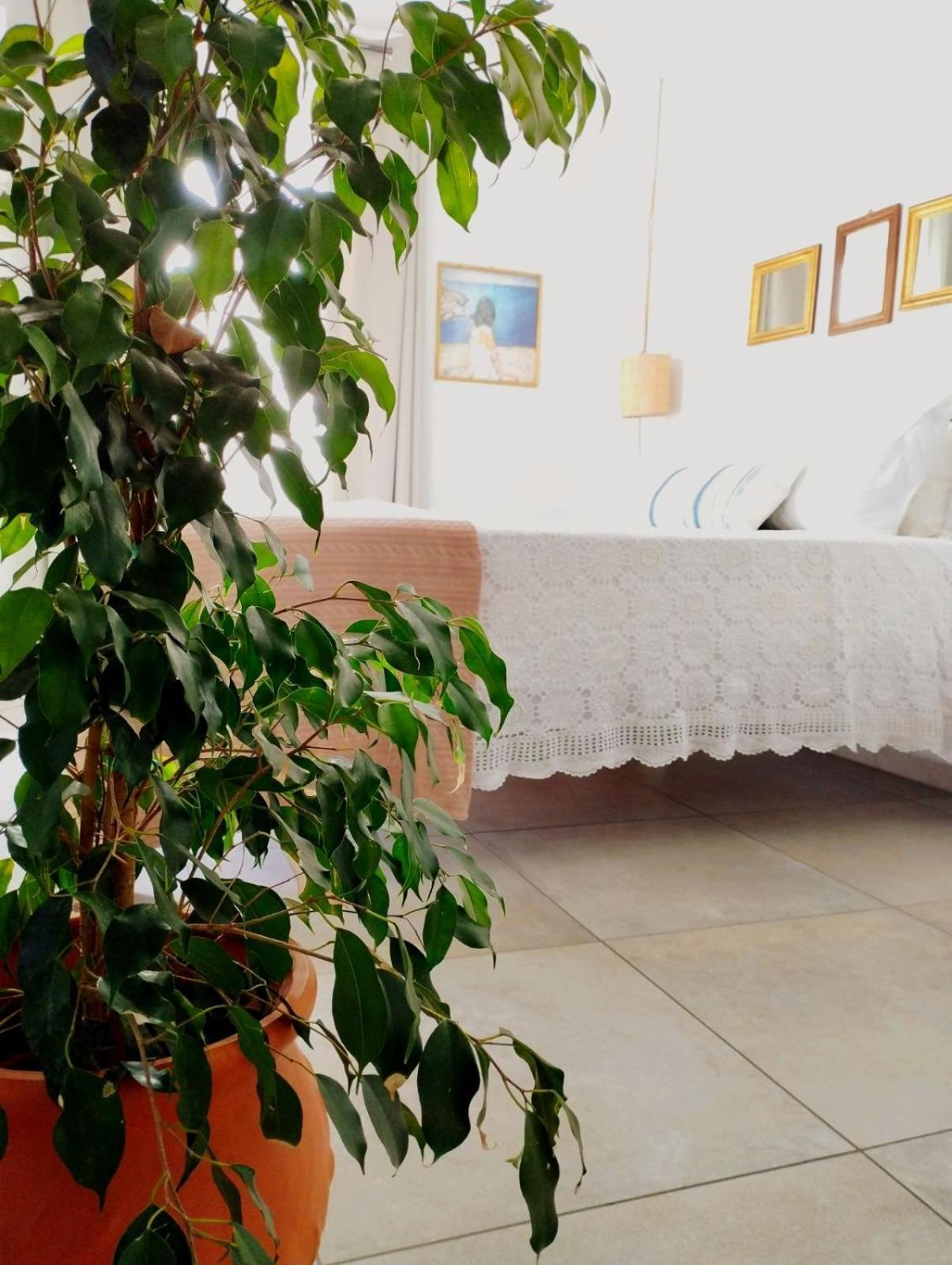 Apartment Ammoudara's Rooftop Kalymnos Town