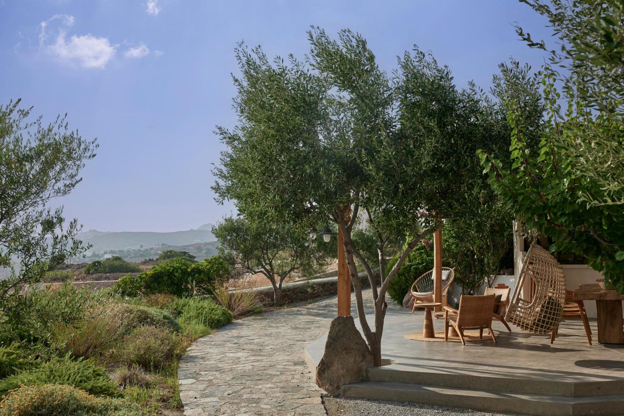 Apartment Iliana Olive Branch