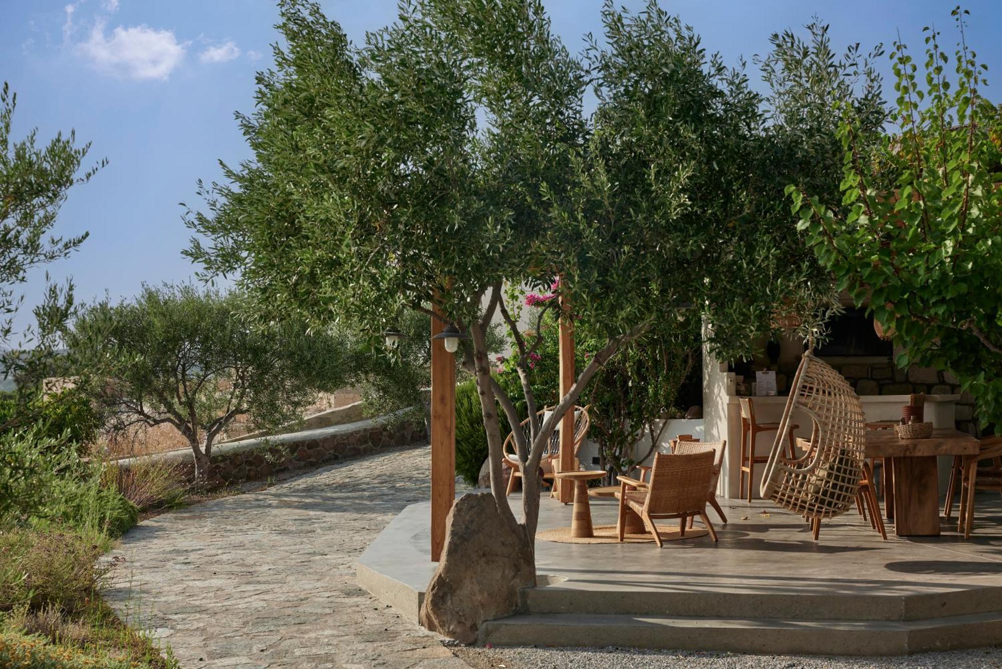 Apartment Iliana Olive Branch *
