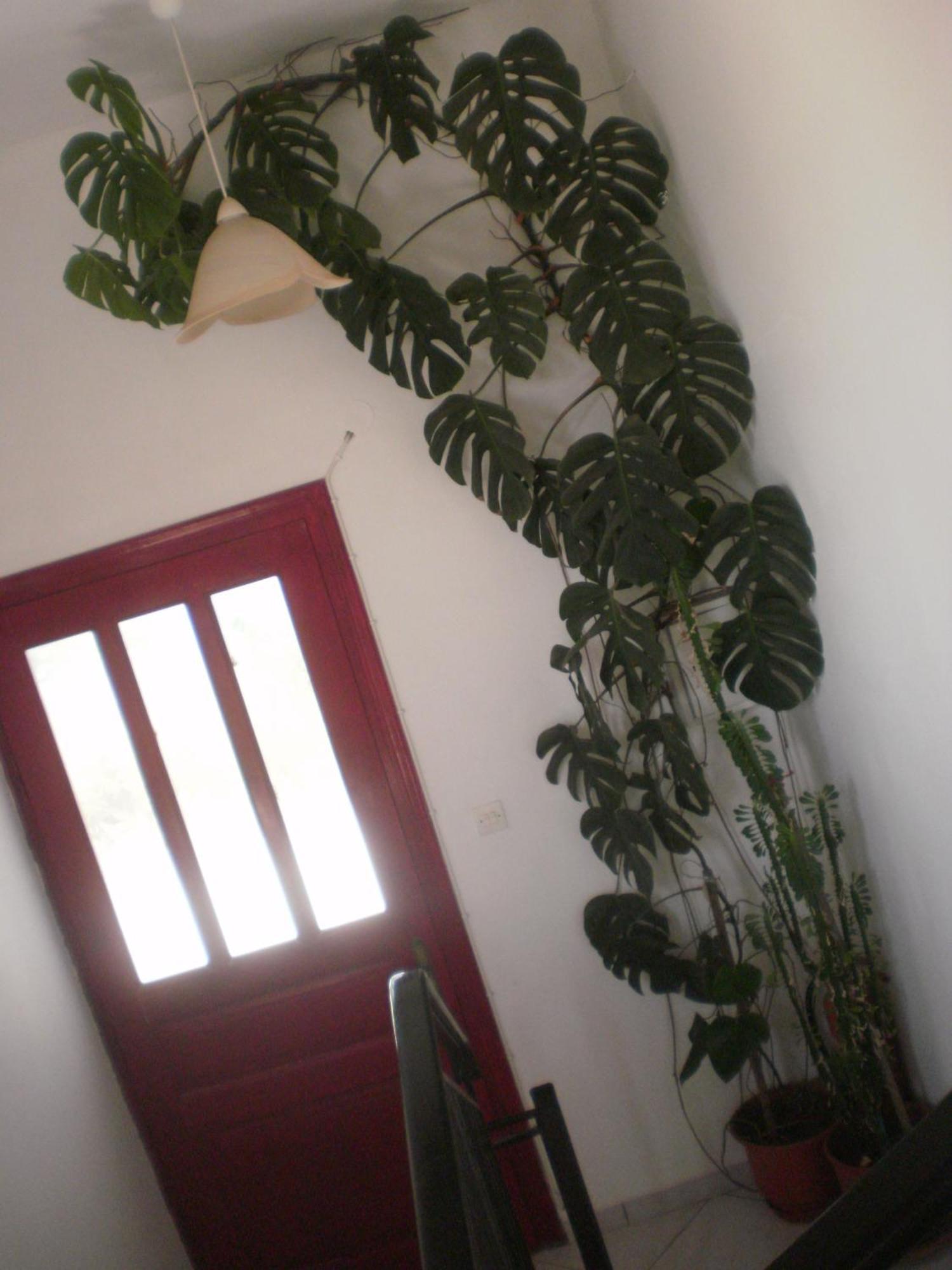 Dimitra Apartment *