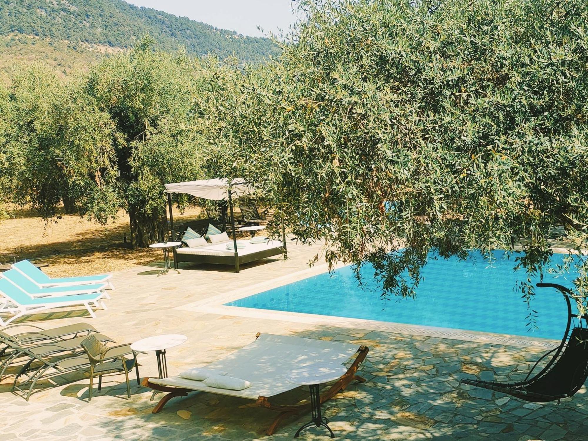 Ipsario Garden Apartment Skala Potamia (Thasos)