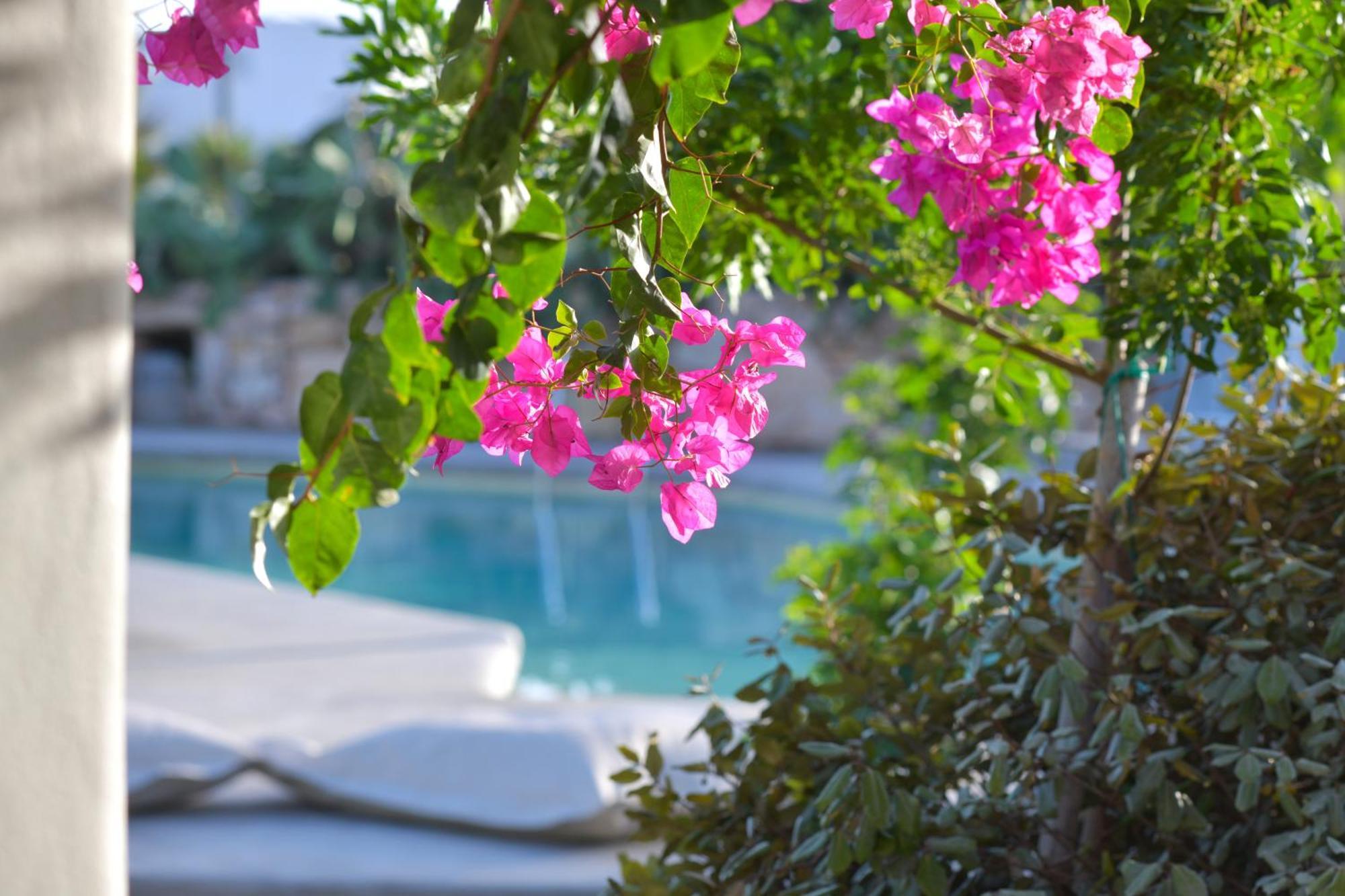 Apartment Portes Koufonisia
